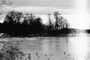 2007 02 nikon em+100 mm series e 11-2.jpg