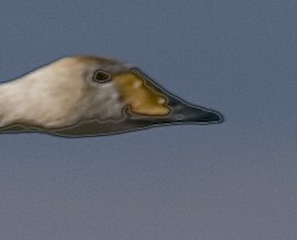 tysslingen (6)-edit-2.jpg