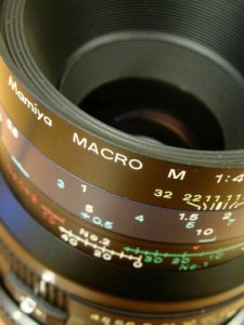 makro av macro fotosidan.se.jpg