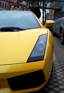 gallardo_02_l.jpg