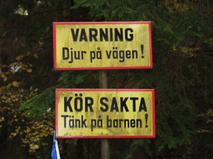 varning-djur-på-vägen---tån.jpg