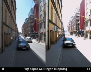 acr-ingen-klippning-0+3.jpg