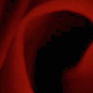 dsc_0175_red_alt4.jpg