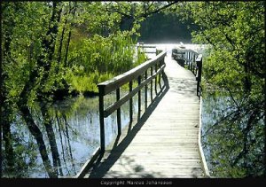 _dsc0679-jpg-kyrksjö-bry-40.jpg