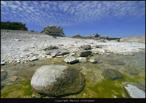 _dsc1005-krabba-stenkust-40.jpg