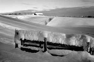 fence-b&w.jpg