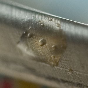 macro.jpg