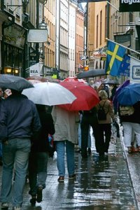 regn-vlång-liten.jpg