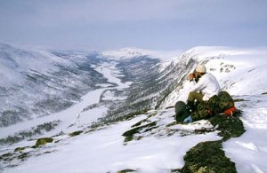 vindelälven vid ammarnäs 850430 kopiera.jpg