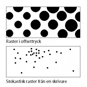 raster.jpg