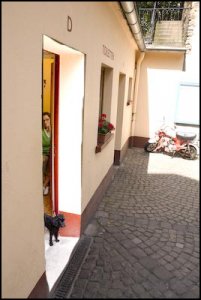 hunden på damtoan.jpg