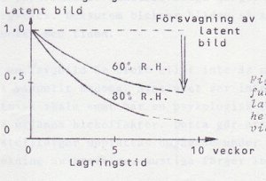 f-3.jpg