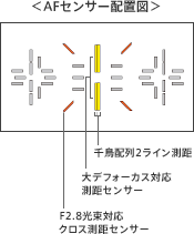 afsensor-img-01.gif