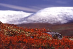 valdres_jotunheimen 1.jpg