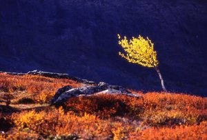 valdres_jotunheimen0002.jpg