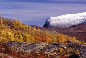 valdres_jotunheimen0003.jpg