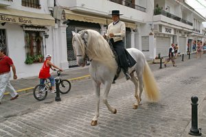 fortskaffning-mijas-caballe.jpg