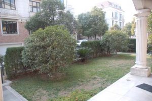 dsc_0171 resampled.jpg