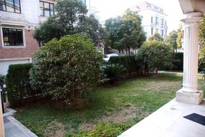 dsc_0171 resampled.jpg