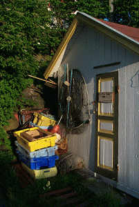 p0010014.gif