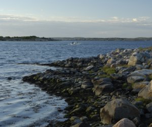 björkö-huvud.jpg