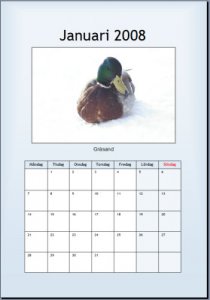 kalender.jpg