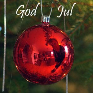 pentaxvnjulbild .jpg