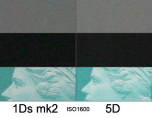 1ds-5d.jpg
