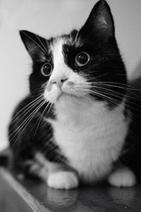 view nx-071211-2151-2.2.jpg