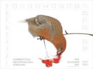 kalender_2.jpg