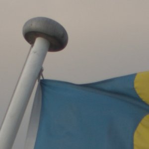 linjär-9686.jpg