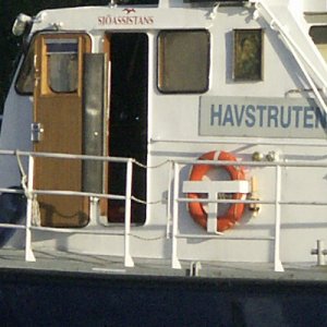 havstruten300mmfullcrop.jpg