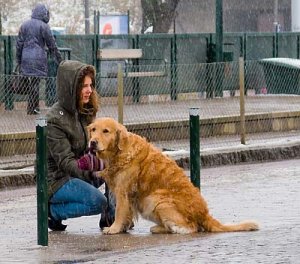 tjej_med_hund_liljeholmen_t_080319.jpg