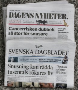 på dagen 10 maj 2007.jpg