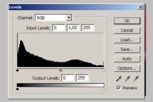 canon histogram.jpg