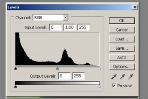 pentax histogram.jpg