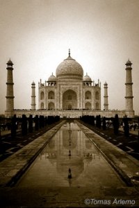 taj maha mindrel.jpg