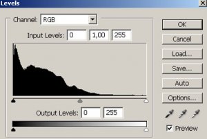 histogram nikon.jpg