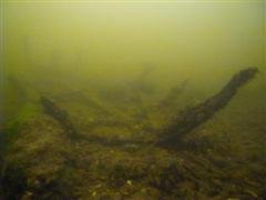 imag1017-1 (large) (wince).jpg