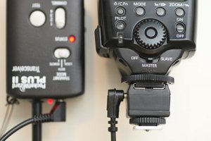 20080630_canon eos-1d mark iii_0016.jpg