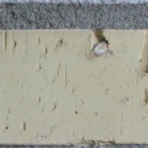 70-200 2,8 200mm centr.jpg