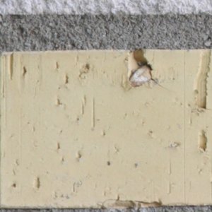 80-200 f4 200mm centr.jpg