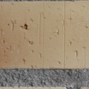 80-200 f4 200mm nedr vä.jpg