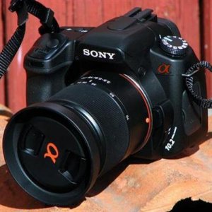 sony a300 058 (small) (custom).jpg