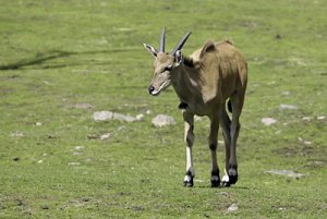 2008 07 21_0014_400.jpg