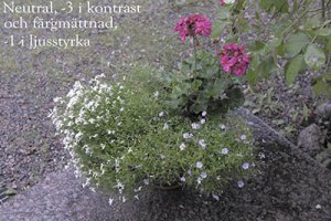 View NX-080817-1536-2.jpg