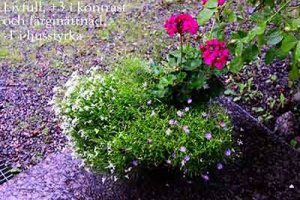 View NX-080817-1435-2.jpg