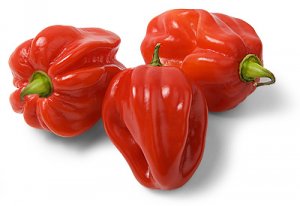 Habanero2.jpg