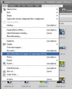 Skriv_info_till_fil_delbild.jpg