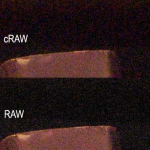 RAW_vs_cRAW.jpg